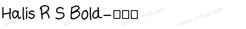 Halis R S Bold字体转换